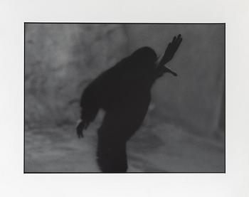 Kenneth Gustavsson, "Untitled (Apan)", 1982.