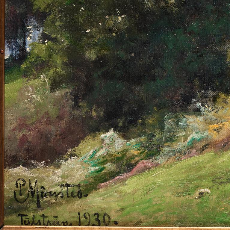 Peder Mork Mönsted, "Lyngbakkerne ved Tülstrüp".