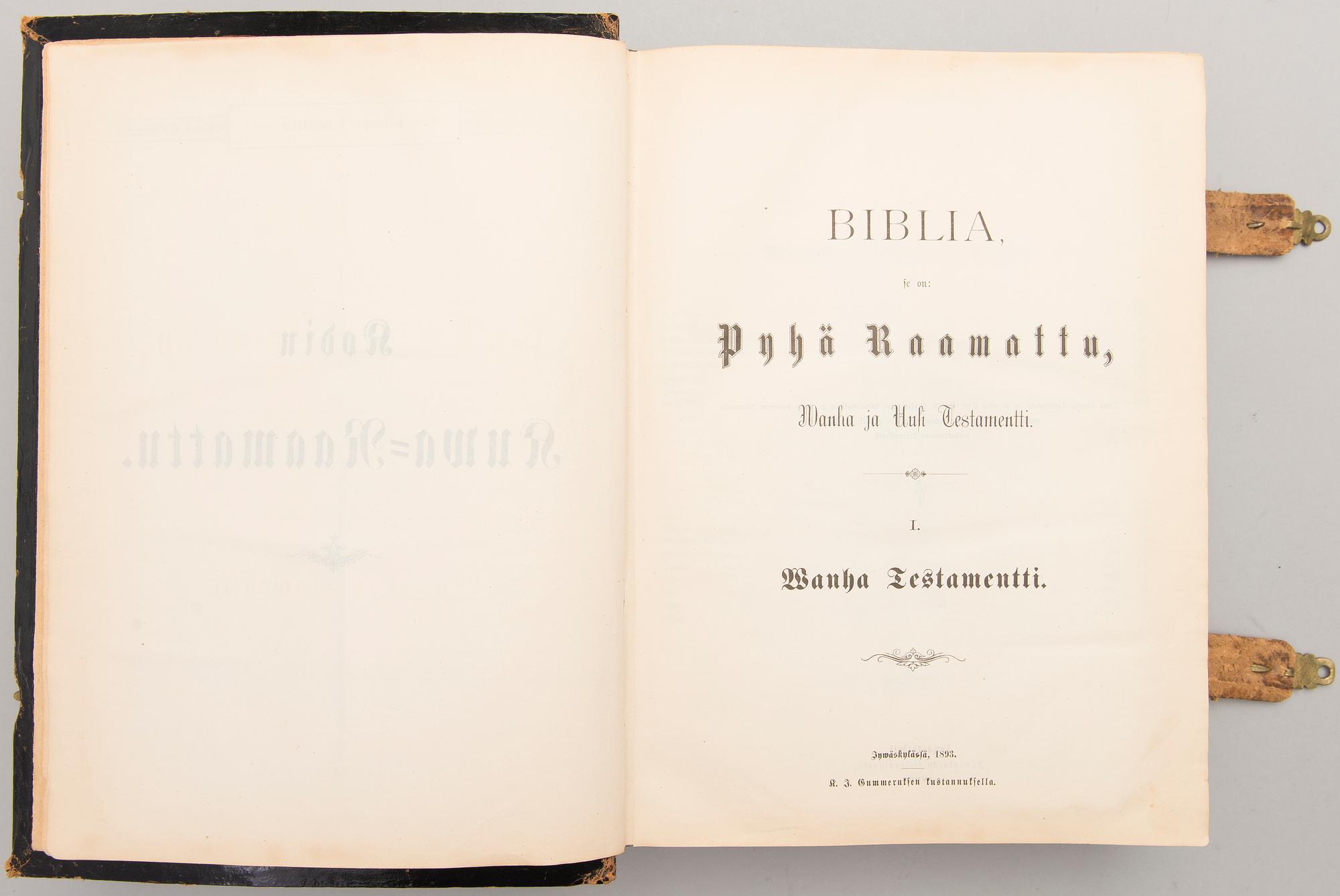 KIRJA/RAAMATTU, Kuva-Raamattu, Jyväskylä 1893.
