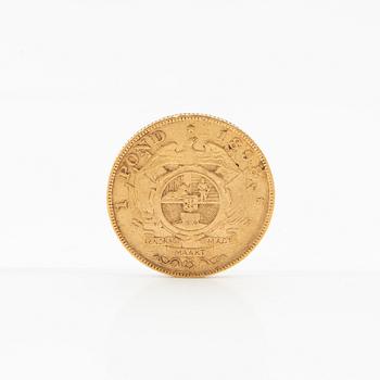 Gold coin 1 pound South Africa 1898.