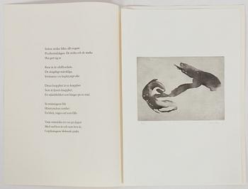 Curt Asker/Wallace Stevens "Elva dikter".