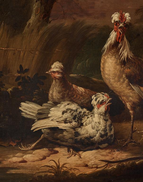 Melchior de Hondecoeter In the manner of the artist, Chickens.