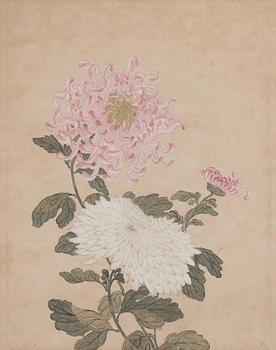 Two watercolours by anonymous artist, late Qing dynasty.