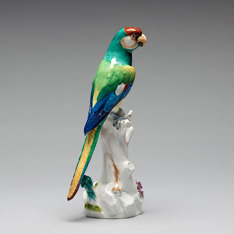 A Meissen figure of a parrot, circa 1900.