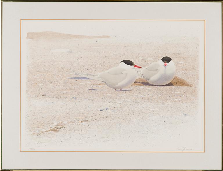 Lars Jonsson, Two birds.