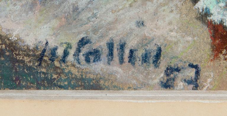 Marcus Collin, Fiskar på halldisken.