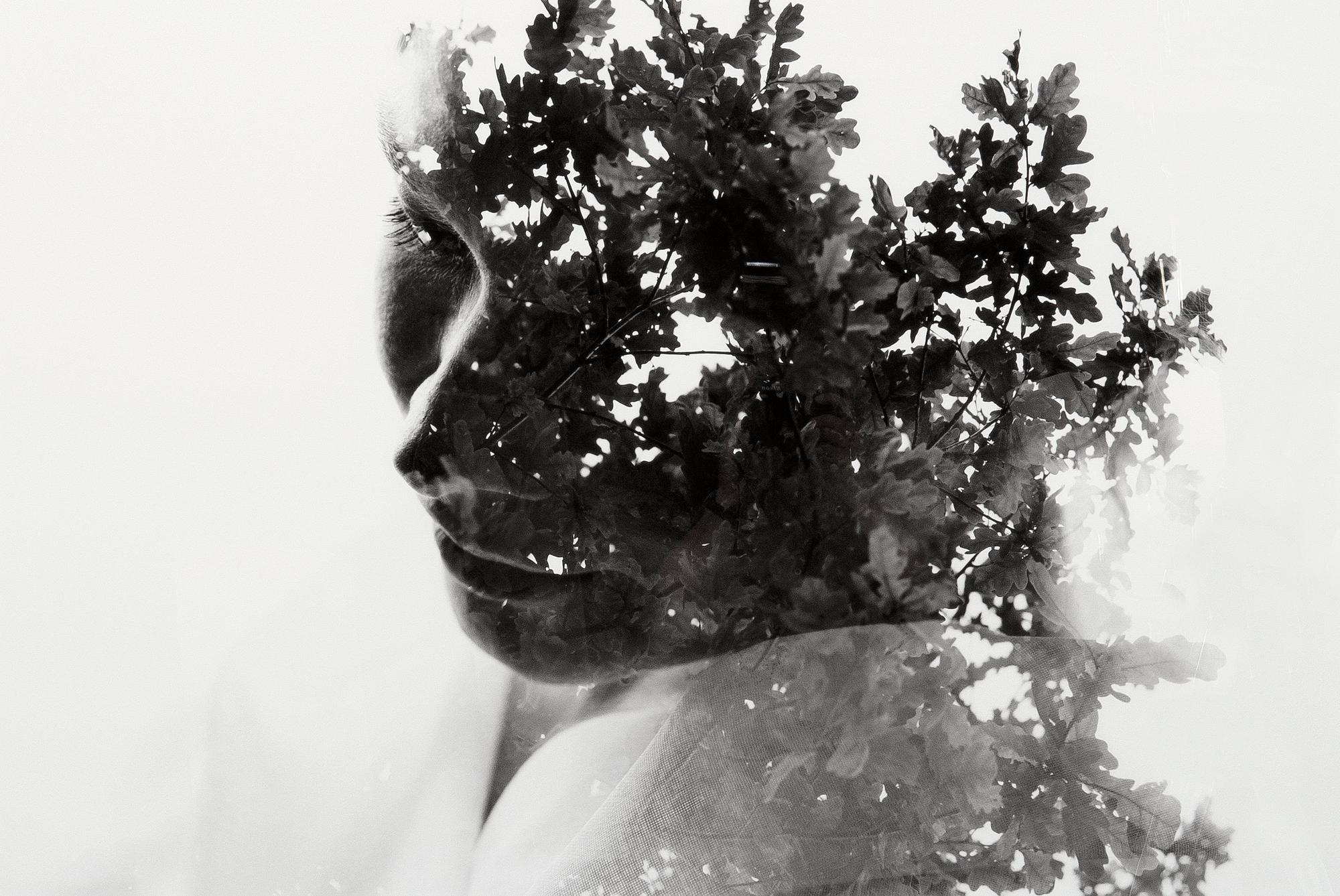 Christoffer Relander, "PARFYYMI".