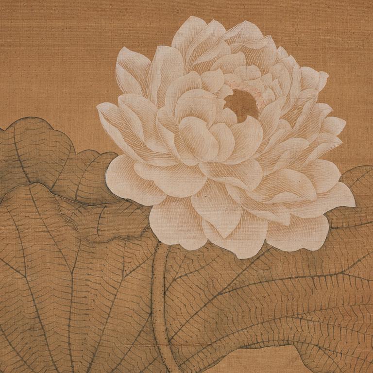 MÅLNING, lotus blommor i Songstil, i Yun Shouping (1633-1690) stil, Qingdynastin (1644-1912).