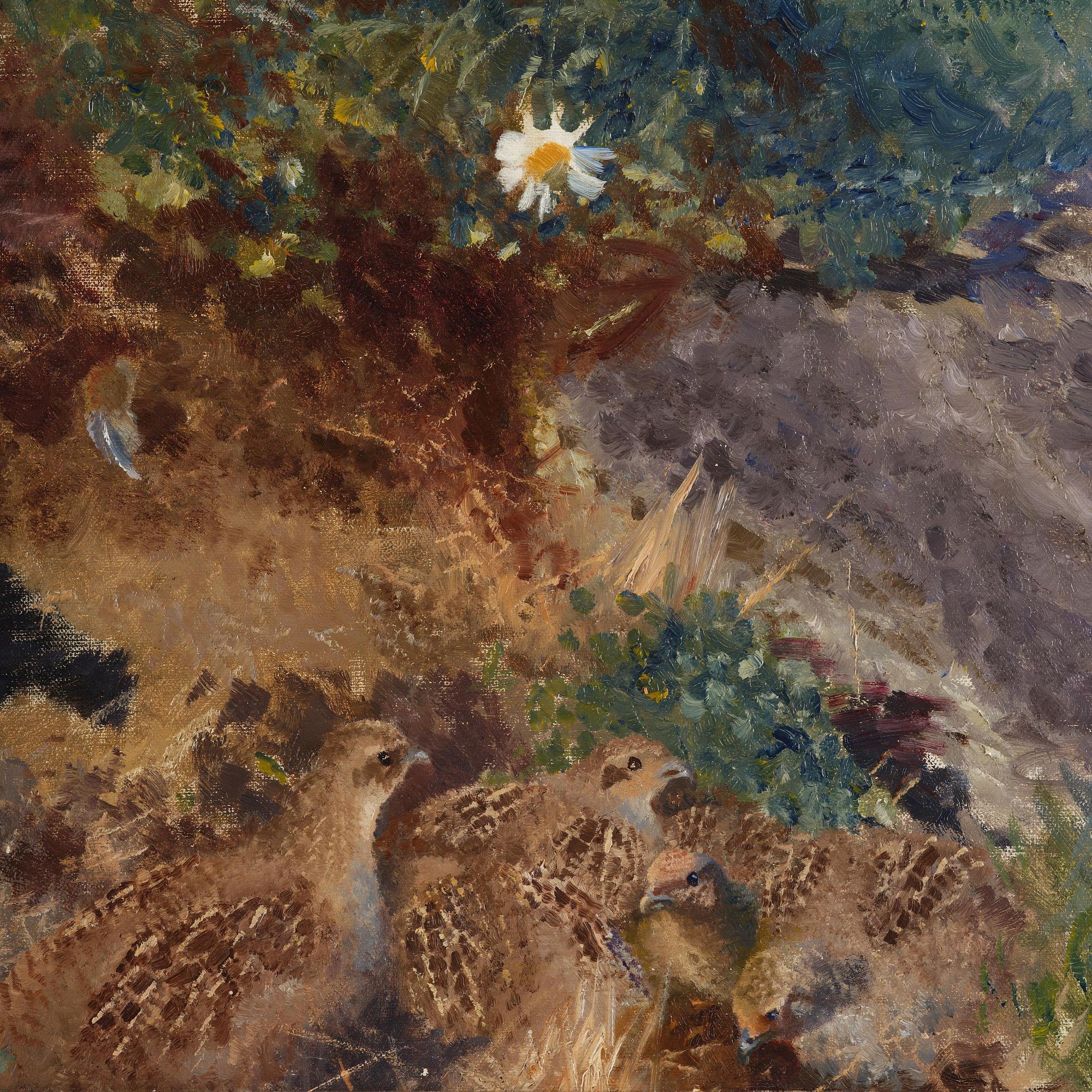 Bruno Liljefors, Partridge with chicks.