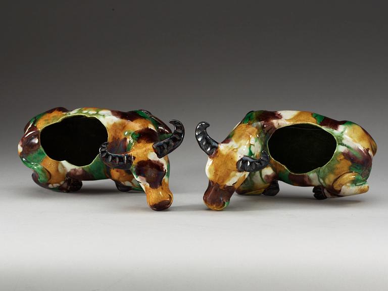 A pair of 'egg and spinach' glazed figures of reclining water buffalo's, Qing dynasty, Kangxi.