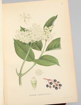 BÖCKER, 3 volymer C.A.M Lindman. "Bilder ur Nordens Flora". C. A. M. Lindman, Wahlström & Widstrand, 1922-1926.
