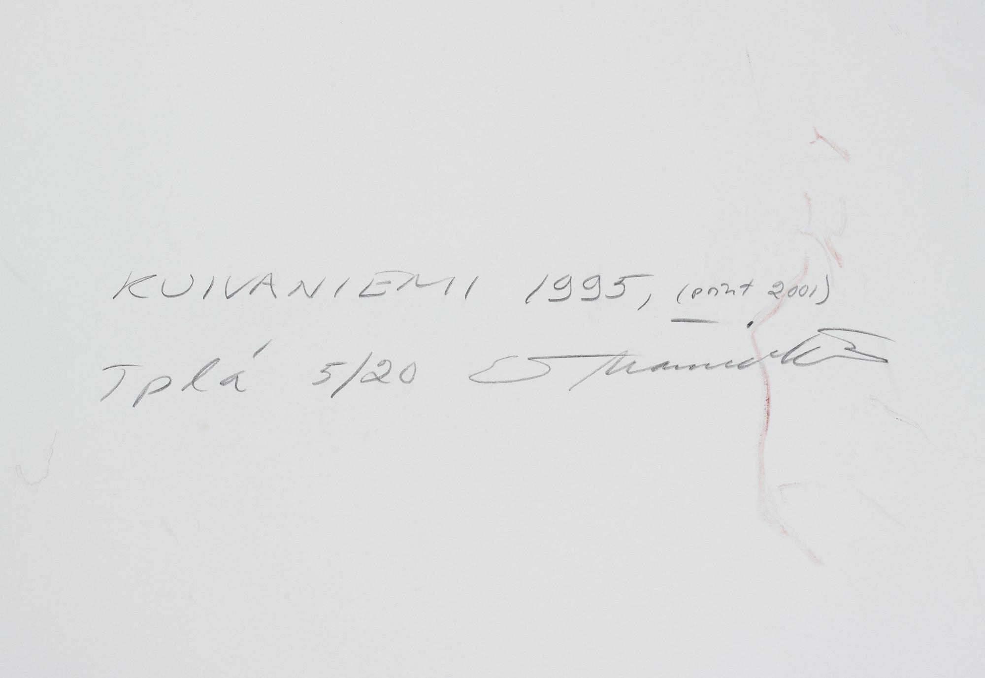 Esko Männikkö, "Kuivaniemi", 1995.
