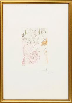 Salvador Dalí, drypoint etching signed and numbered 27/150.