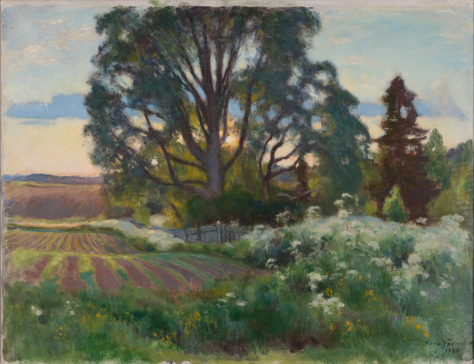 Eero Järnefelt, Åker vid skogens rand.