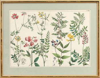 GRAFISKA BLAD, 4 st, 1800/1900-tal.