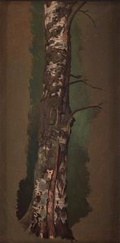 Ferdinand von Wright, Study of a Birch tree; pencilstudies of tree trunks (verso).