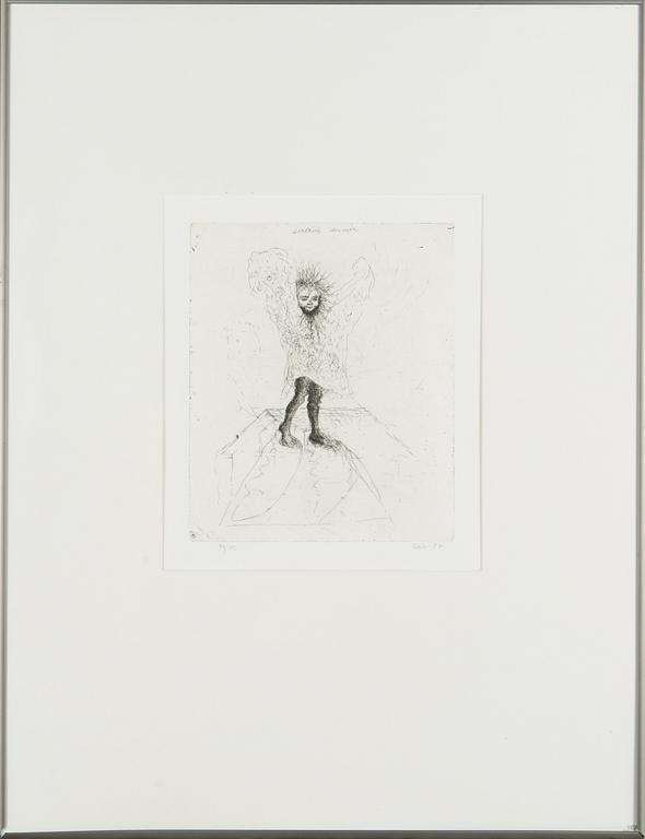 Outi Heiskanen, "Flygande dervisch".