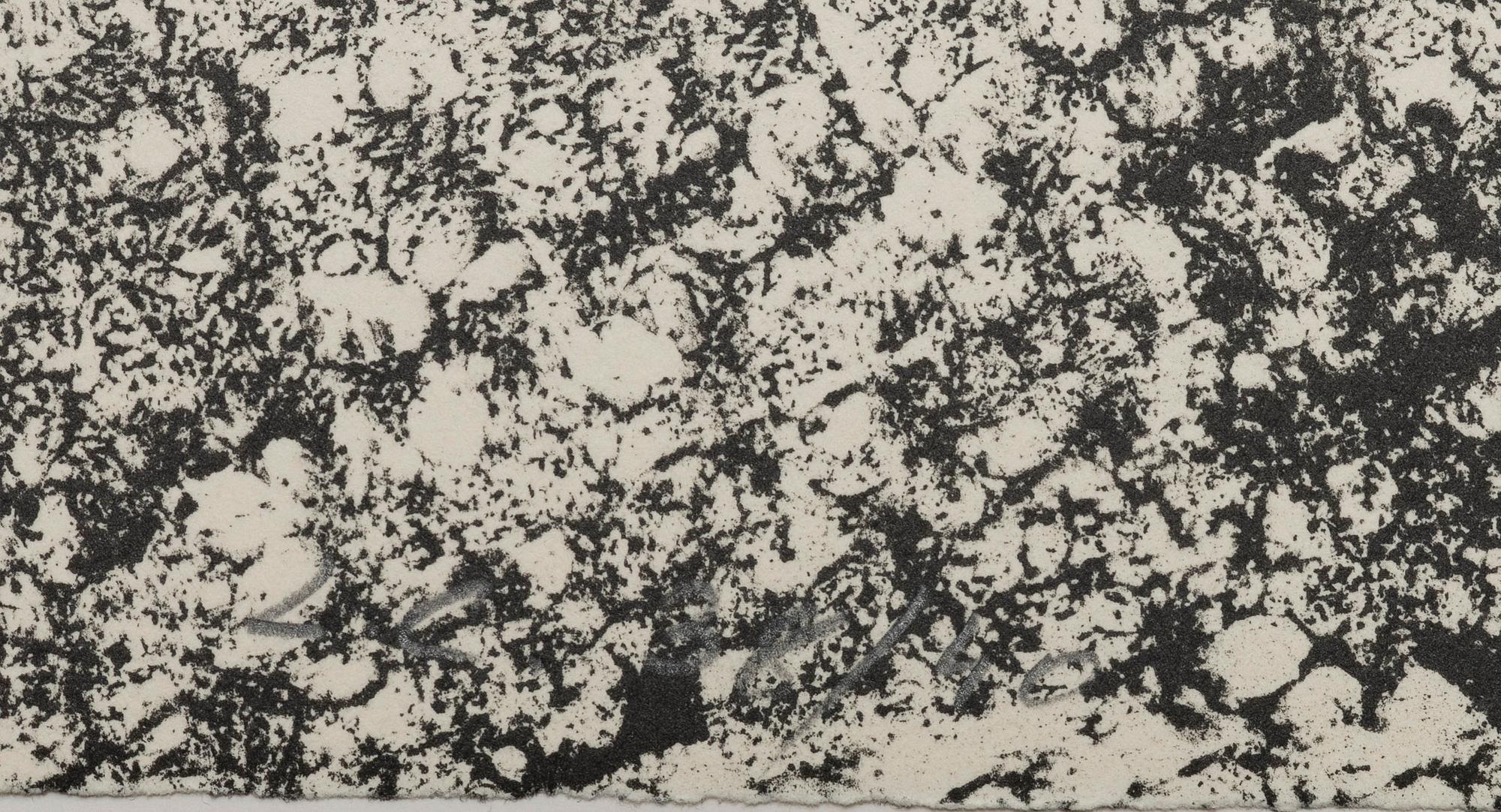 Lena Cronqvist, Utan titel, ur mappen: "August Strindberg, Ett Drömspel".