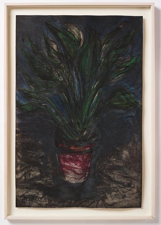 Jim Dine, "A Well Painted Strelitzia".