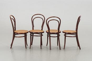 STOLAR, 6 st Thonet. 1900-tal.