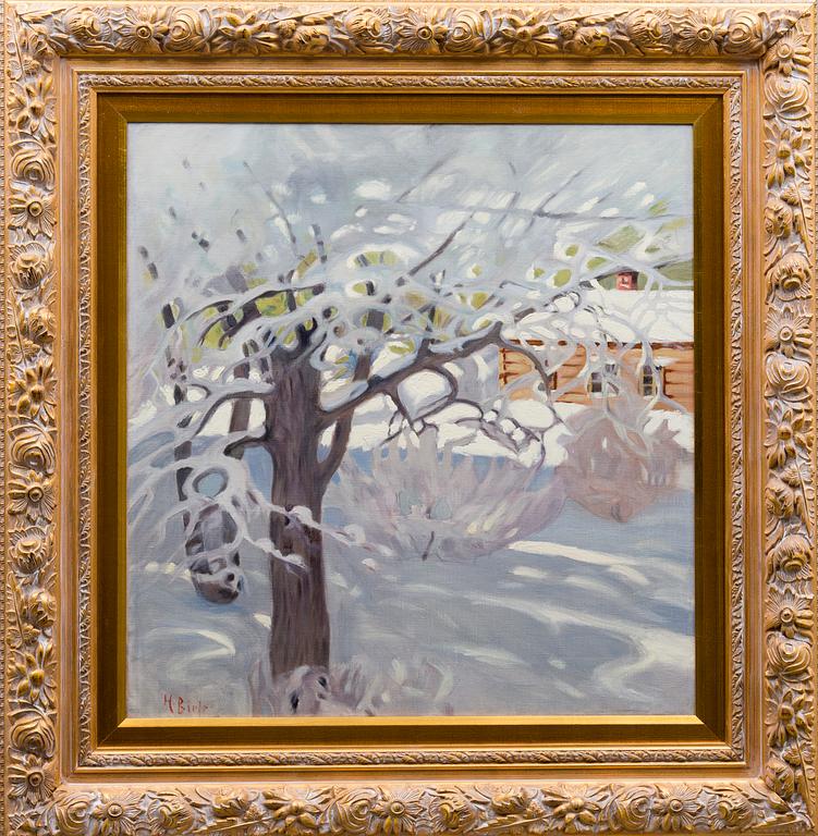 HELMI BIESE, AURINKOINEN TALVIPÄIVÄ.