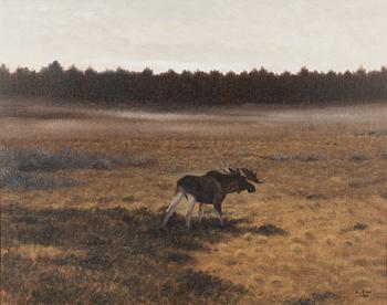 Lennart Sand, Early morning with moose on the bog.