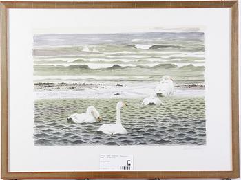 Lars Jonsson · JONSSON, LARS, färglitografi, sign o nr 49/350.