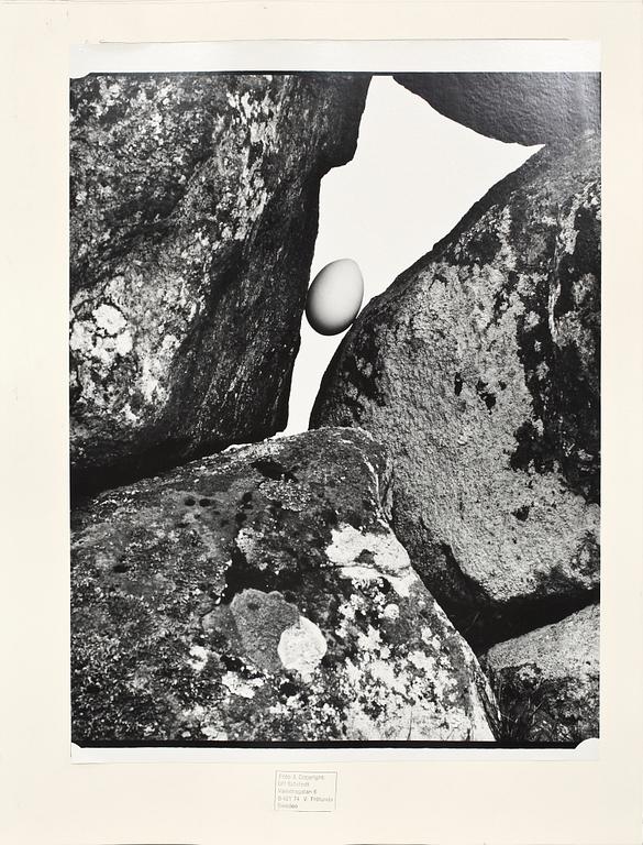 ULF SJÖSTEDET, fotografi, sign o dat 1981.