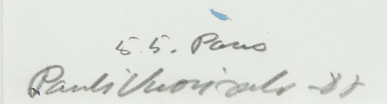 Pauli Vuorisalo, Hahmo.