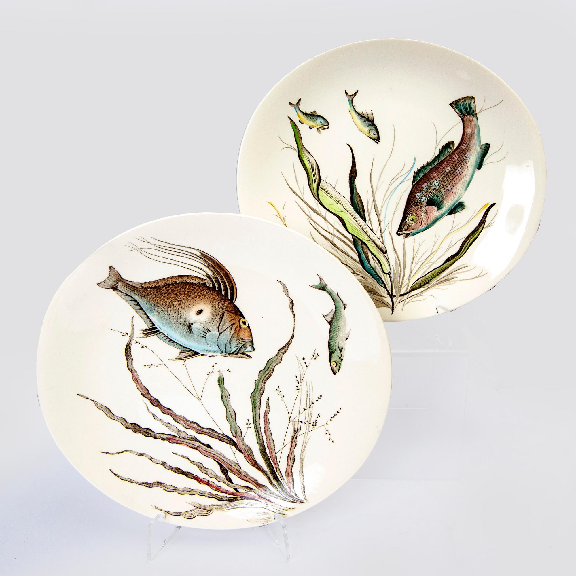 A Johnson Bros "Fish" 8 pcs dinner service.