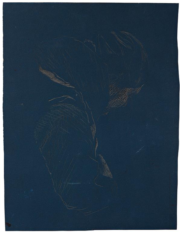 Idun Baltzersen, "Looking Down".
