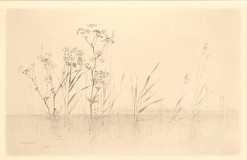 Gunnar Norrman, Växtlighet.