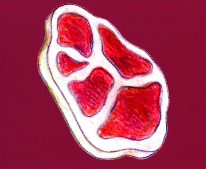 Cecilia Lundqvist, "Emblem", 2001.