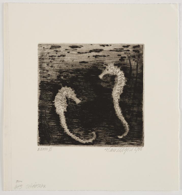 Hans Wigert, Sea horses.