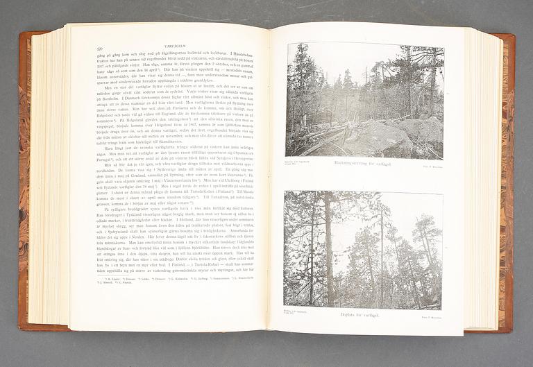 SVERIGES FÅGLAR OCH FÅGELBON, volym 1-6. Paul Rosenius, Lund, 1926-49.