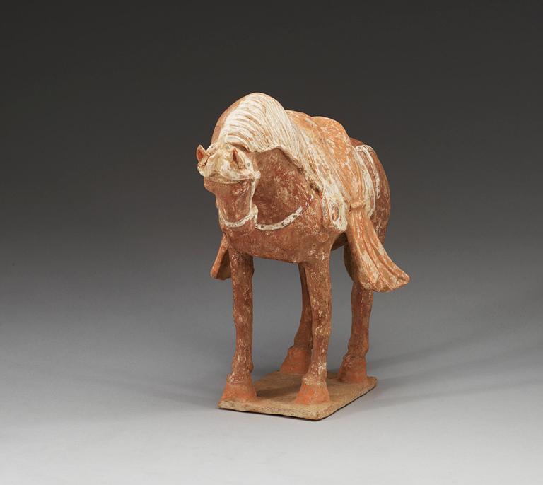 A painted pottery figure of a horse, Northern Wei) (386-535).