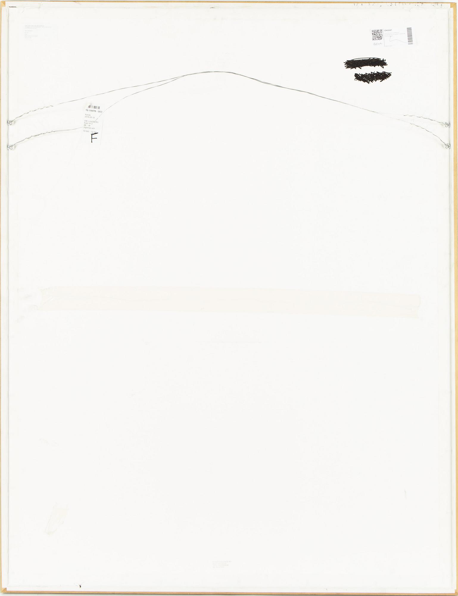 Carl Michael Lundberg, mixed media on paper, signed and dated 20.01-08.