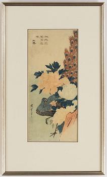 Utagawa Hiroshige (1797–1858), efter, färgträsnitt. Japan, "Peacock and Peonies", sent 1800/tidigt 1900-tal.