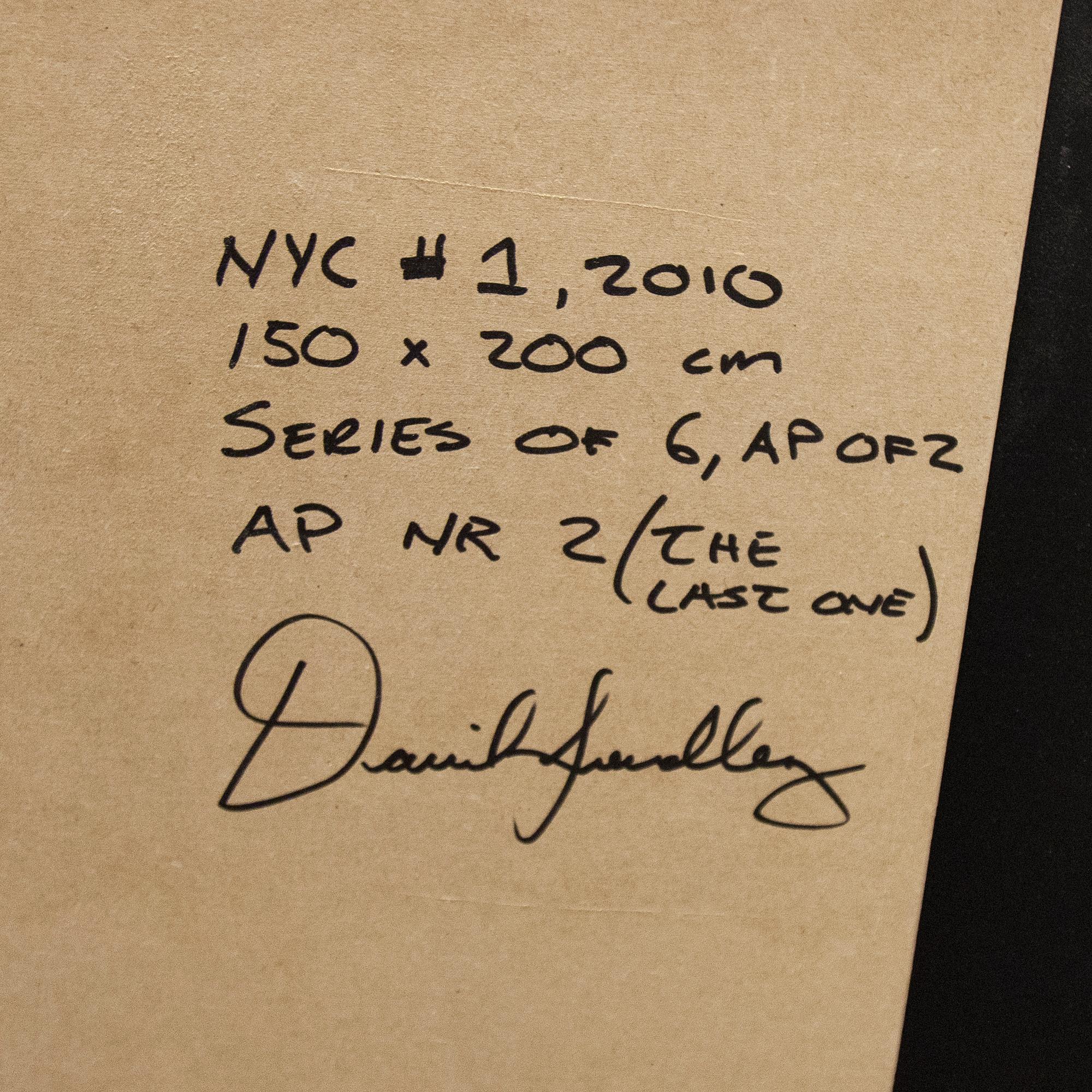 DANIEL SANDBERG, "NYC", 2010.