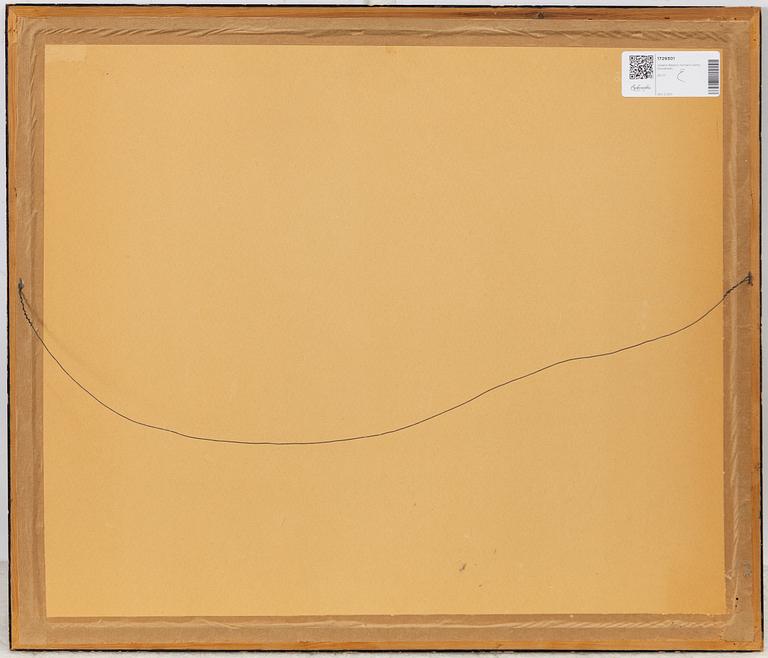 Johann Baptist Homann, Karta, kopparstick, 1700-tal, "Stockholm".