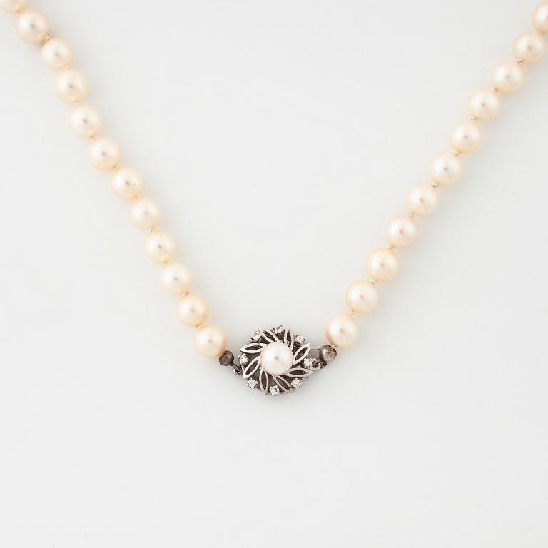 A cultured pearl necklace.