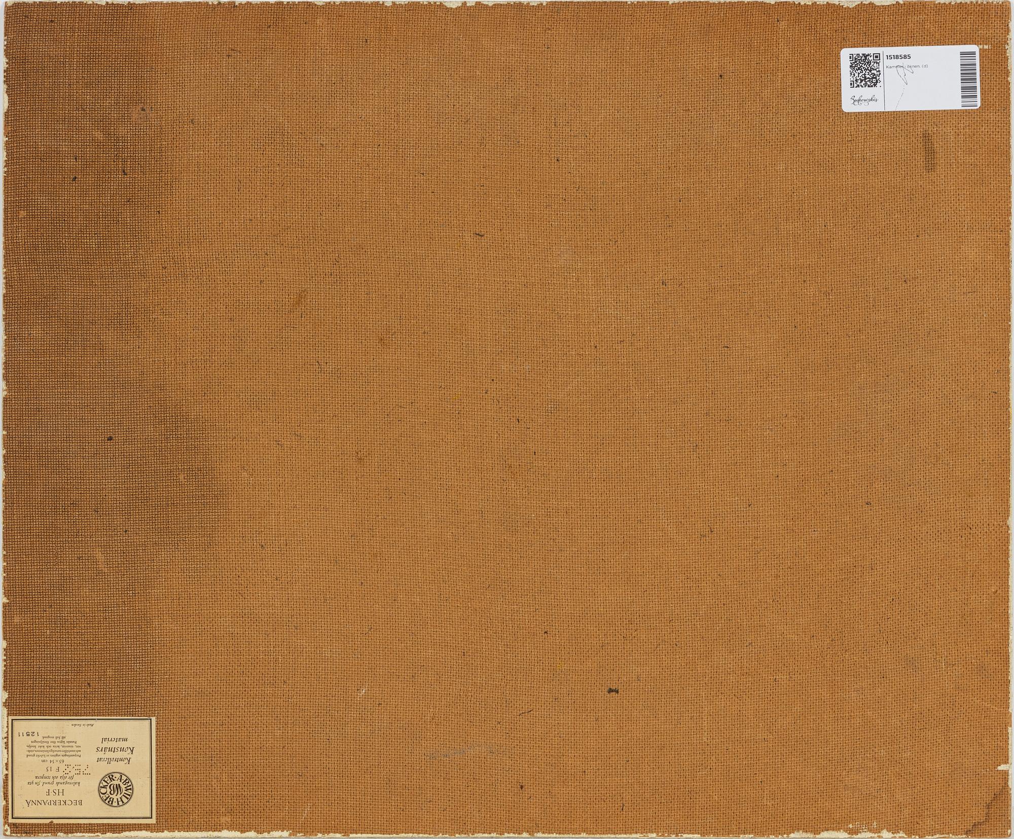 Maj Bring, Vy från öknen.