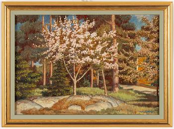 Oskar Bergman, Japanese Cherry Tree (Prunus serrulata).