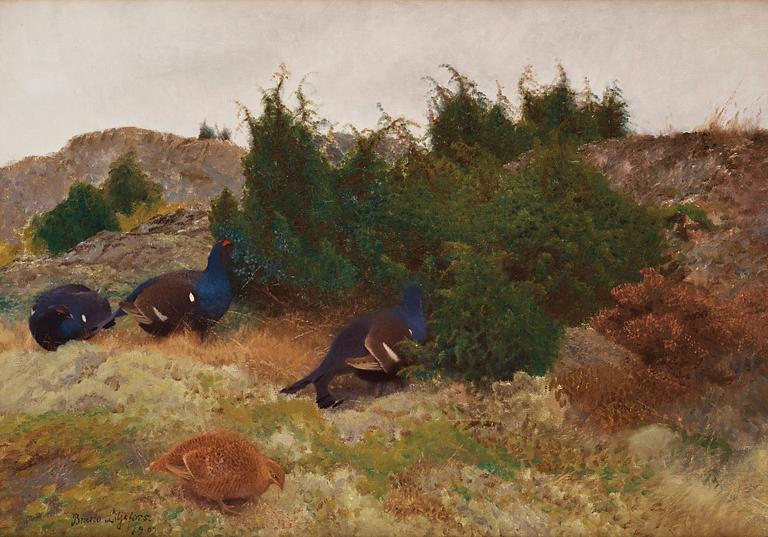 Bruno Liljefors, Black grouse in autumn landscape.