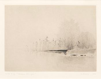 Gunnar Norrman, "Mist Over the Lake".