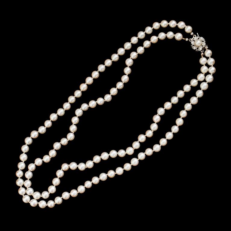 COLLIER, odlade saltvattenspärlor, lås i silver.