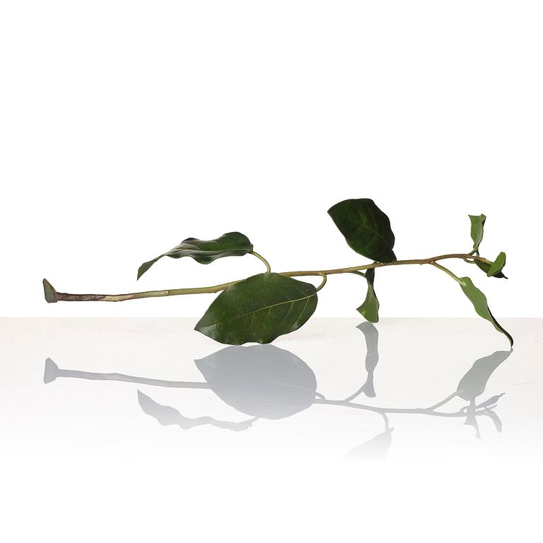 Tony Matelli, "Weed #424".