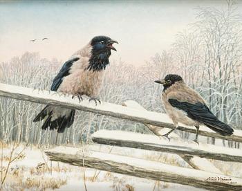 Niilo Vainio, Hooded crows.