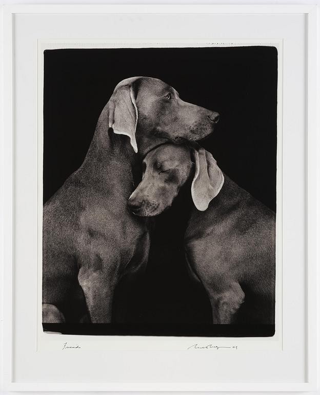 William Wegman, "Friends".
