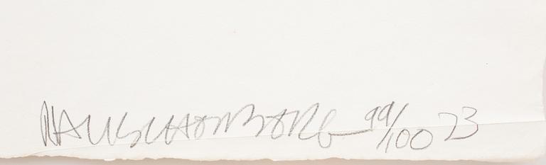 Robert Rauschenberg, "Plot" ur: "Reality and Paradoxes".